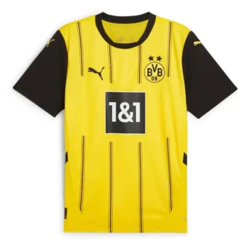 Borussia Dortmund 2024/25